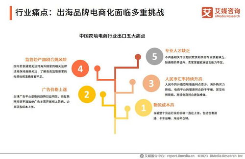 艾媒咨詢2023年中國品牌電商服務(wù)行業(yè)研究報(bào)告 咨詢策劃服務(wù)深度解析